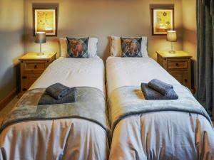 two twin beds in a room with two lamps at Norwood in Thornhill +9 photos