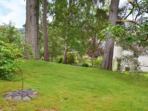 a tree in the grass next to a house at Dye Mill Cottage in Moffat +7 photos