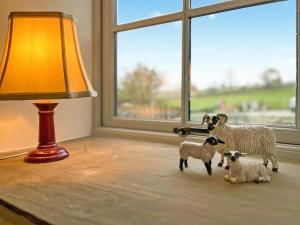 een lamp en beeldjes van schapen op een tafel naast een raam bij Dukes Cottage - Uk47495 in Waterfall