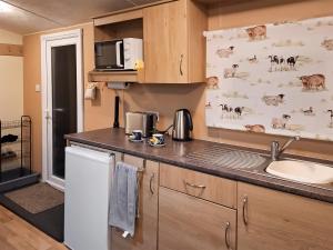 una cucina con un lavello e un piano di lavoro di Glen Y Nant a Llanfihangel-nant-Melan
