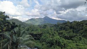 vistas a una selva con montañas y palmeras en River Resort Kitulgala, en Kitulgala