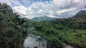 un río en medio de una selva con palmeras en River Resort Kitulgala, en Kitulgala