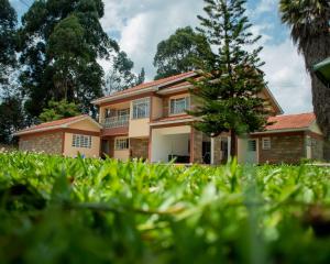 a house with a tree in front of it at Ckay homes eldoret in Eldoret