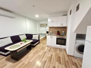 Η κουζίνα ή μικρή κουζίνα στο Ruse Charm Studio 1