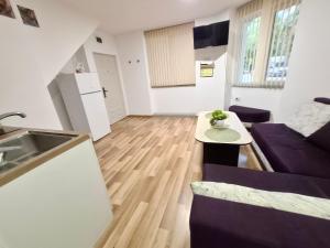 Η κουζίνα ή μικρή κουζίνα στο Ruse Charm Studio 1