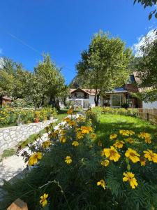 Gallery image of Bujtina Arlindi in Valbonë