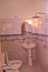 a bathroom with a sink and a toilet and a mirror at Mountain Top Guest in Bandarawela