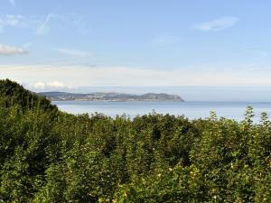 a view of the ocean from a hill with trees at Sunrise Cottage - Uk35813 in Llanddulas +2 photos