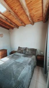 a bedroom with a large bed with wooden ceilings at Ciruelos del Sur - San Rafael Mendoza in San Rafael +30 photos