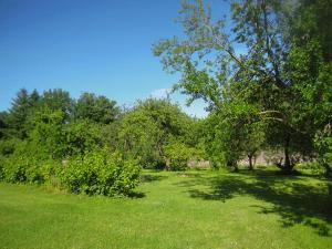 a field with trees and green grass with a blue sky at Bailiffs House - Uk48744 in Llandybie +3 photos