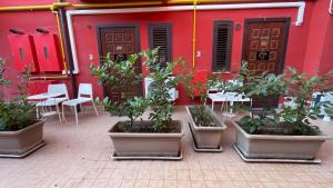 アヴェッリーノにあるB&B Moscati homeの赤い建物の前にある鉢植えの植物の群れ