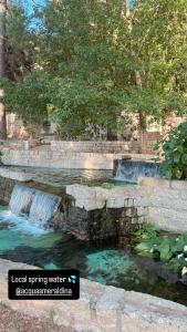 Σημείο ενδιαφέροντος κοντά σε αυτό το διαμέρισμα