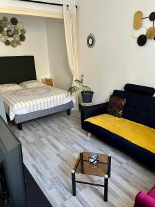 a living room with a bed and a couch at Chic & Elégance Lyon Centre in Lyon +10 photos