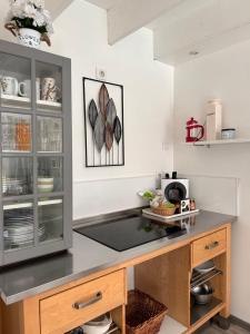 eine Küche mit einer Arbeitsplatte und einem Schrank mit Spüle in der Unterkunft Duplex - T3 in Portet-sur-Garonne + 7 Fotos