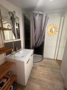 ein Badezimmer mit Waschbecken, Dusche und Toilette in der Unterkunft Duplex - T3 in Portet-sur-Garonne