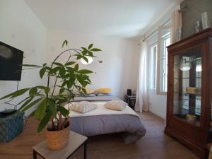 a bedroom with a bed and a potted plant at Duplex Éléonore-Lilas in Mulhouse