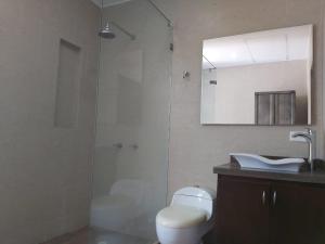 a bathroom with a shower and a toilet and a sink at Exclusiva casa campestre in Ricaurte +5 photos