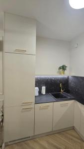 Η κουζίνα ή μικρή κουζίνα στο Prestige Apartment Oława