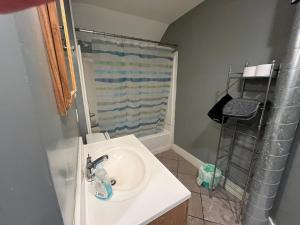 ein Badezimmer mit Waschbecken und Dusche in der Unterkunft Relaxing, Spacious Private Room near Binghamton in Johnson City