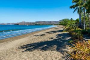 a sandy beach with palm trees and the ocean at Beachside 1st Floor Condo Near Flamingo & Conchal in Playa Flamingo