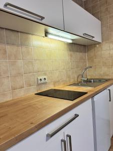 une cuisine avec un évier et un plan de travail dans l'établissement Apartment in Bavorská Ruda, à Bayerisch Eisenstein