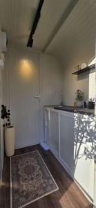 Kuchyň nebo kuchyňský kout v ubytování caravan alula