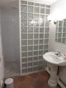a bathroom with a sink and a glass block wall at appartement centre historique in Bordeaux +2 photos
