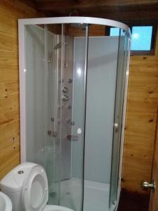 a bathroom with a shower and a white toilet at Casa para 5 personas in Juan L. Lacaze