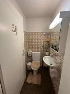 a small bathroom with a toilet and a sink at Hostel I Love Sg in St. Gallen +24 photos