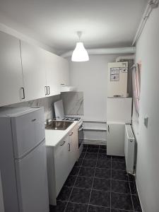 Η κουζίνα ή μικρή κουζίνα στο Aquamarin iulius mall studio