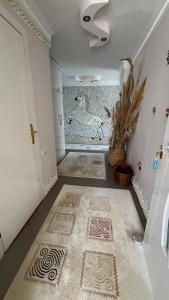 a hallway with a shower with a mural of a dog on the wall at Perice Konak orta kat in Korucuk