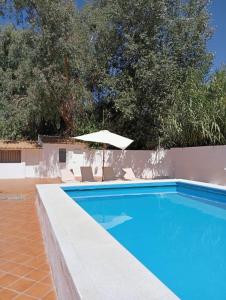 ein Swimmingpool mit Stühlen und einem Sonnenschirm in der Unterkunft Alojamiento Rural Paraiso Pozuela in Jaén