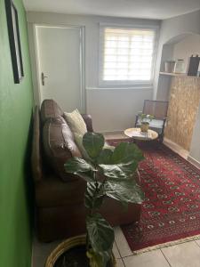 Posezení v ubytování The Dragonfly + 8 fotografií