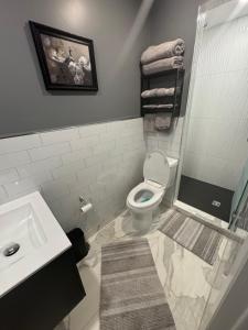 a bathroom with a toilet and a sink and a shower at Emmas place in Halifax +17 photos