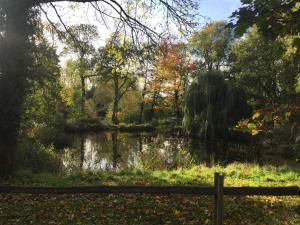 a pond in the middle of a park at Aan de Jordaan in Boutersem