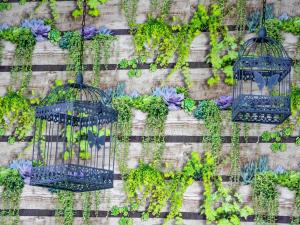 Dos jaulas de pájaros llenas de plantas en una pared. en ibis budget Paris Porte de Vanves, en Vanves