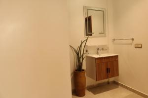 a bathroom with a sink and a mirror and a potted plant at Tamraght Surf House in Tamraght Ouzdar