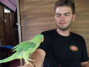 Afbeelding uit fotogalerij van Meta Homestay in Phumĭ Puŏk Chăs