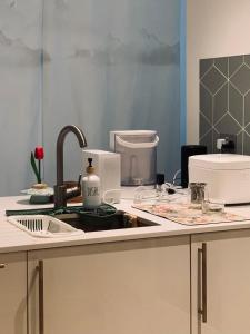 ロンドンにあるModern and Cozy Studio Retreat by Alexandra Palaceのシンクとカウンタートップのあるキッチン
