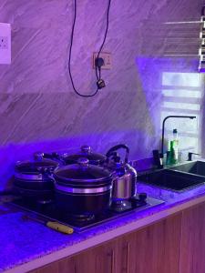 Köök või kööginurk majutusasutuses luxury 2BR Duplex near Airport with wifi and free parking +22 fotot