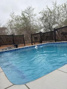 a swimming pool with two benches around it at Inyati Guest House in Marloth Park