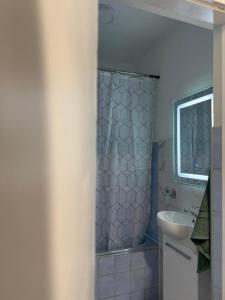 a bathroom with a shower and a sink at Central One Business & City Stay in Brčko