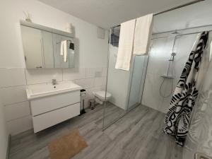 a bathroom with a sink and a toilet and a shower at AIRR Wohnung in Flumenthal in Flumenthal