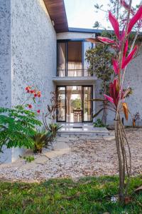 a house with a glass door and a plant at Casa Bless - Piribless in Pirenópolis