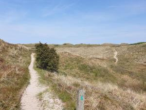 un camino de tierra en medio de un campo en 4 person holiday home in Bindslev, en Bindslev