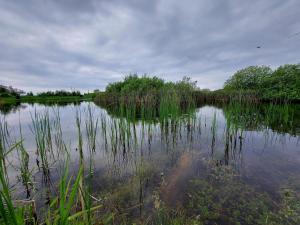 Gallery image of 6 person holiday home in Humble-By Traum in Humble +29 photos