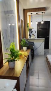 a kitchen with two potted plants on a counter at Plumera Mactan near Airport in Bankal