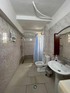 ティラナにあるCentral Tirana Stayのトイレと洗面台付きのバスルーム