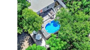 einen Blick über einen Pool mit Bäumen in der Unterkunft Spacious Oasis 1 mi to Riverwalk in San Antonio + 73 Fotos