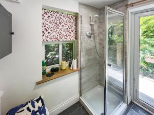 a bathroom with a shower and a window at Fronisaf - Uk49775 in Llanfair Talhaiarn +1 photo